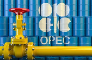 Nigeria?s crude oil production increases ? OPEC