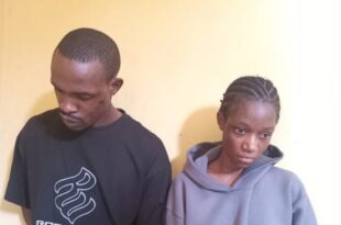 Ondo police arrest couple and one other for child theft, recover 14 children