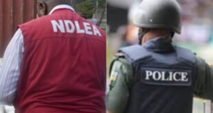 Police and NDLEA clash in Bayelsa over attempt to arrest suspected female drug dealer