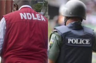 Police and NDLEA clash in Bayelsa over attempt to arrest suspected female drug dealer