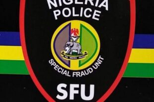 Police arrest four corps members and eight students for internet fraud