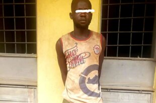 Police arrest suspected burglar in Ogun