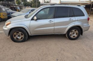 Police arrest suspected car thief in Kano