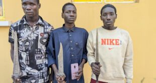 Police arrest three suspected armed robbers, recover sharp knives in Kano