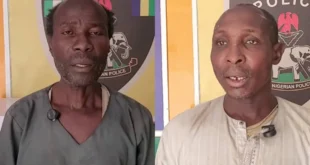 Police arrest two men for s0domizing minors in Bauchi