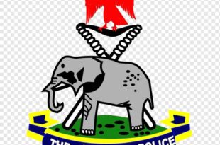 Police dismiss reports of N1.9bn theft from Enugu govt account by hackers