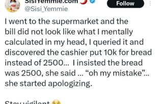 "Stay vigilant" Vlogger, Sisi Yemmie warns as she reveals how cashier inflated her bill at a supermarket