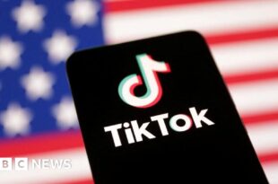 Supreme Court to hear TikTok's final plea against US ban