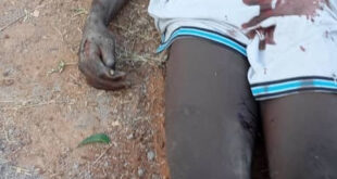 Suspected cable vandal electrocuted in Adamawa