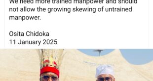 "The middle class is becoming more selfish, reducing fertility to unsustainable levels" Former Aviation Minister, Osita Chidoka encourages people to have more children and gives reasons