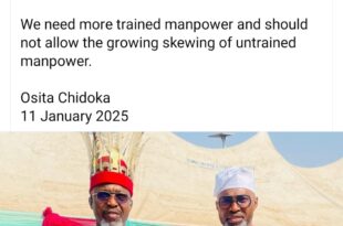 "The middle class is becoming more selfish, reducing fertility to unsustainable levels" Former Aviation Minister, Osita Chidoka encourages people to have more children and gives reasons