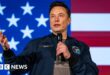 TikTok: Firm calls report of possible sale to Musk 'pure fiction'