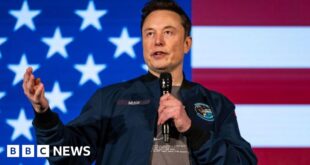 TikTok: Firm calls report of possible sale to Musk 'pure fiction'