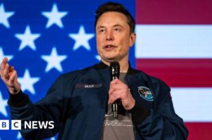 TikTok: Firm calls report of possible sale to Musk 'pure fiction'