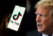 TikTok is back online in the US after Donald Trump intervenes