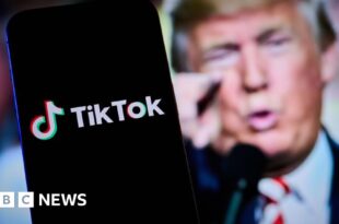 TikTok restoring services in US after Trump pledge