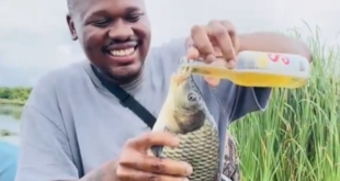 TikTok user under fire for force-feeding fish with beer