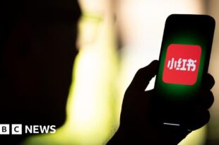 TikTok users flock to Chinese app RedNote before US ban