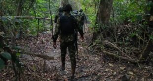 Troops dismantle 13 illegal oil bunkering sites, arrest 15 suspects in Niger Delta