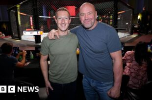 UFC boss Dana White and two others to join Meta board