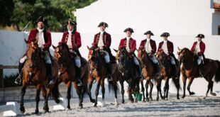 Video. Portugal's dancing horses gain global recognition by UNESCO