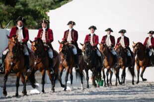 Video. Portugal's dancing horses gain global recognition by UNESCO