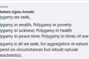 Without restoration of polygamy, Igbo people will destroy themselves - Nigerian pharmacist says