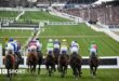 Runners at the Cheltenham Festival