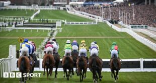 Runners at the Cheltenham Festival